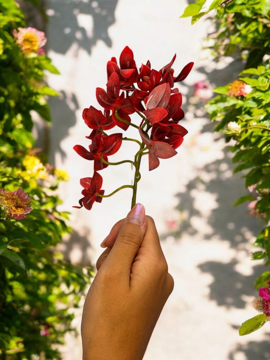 MINI PHALAENOPSIS TOQUE REAL - 35 CM
