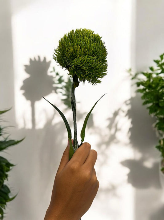 HASTE PAPIRO - ALT 53 CM