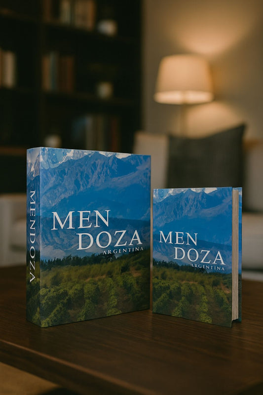 CONJUNTO CAIXA LIVROS MENDOZA - 2 peças