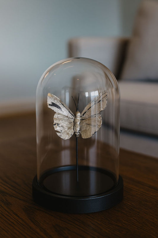 ESCULTURA CELESTIA - 15x9