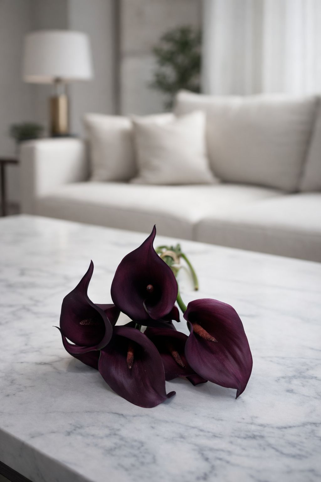 CALLAS NOTURNO - 32cm